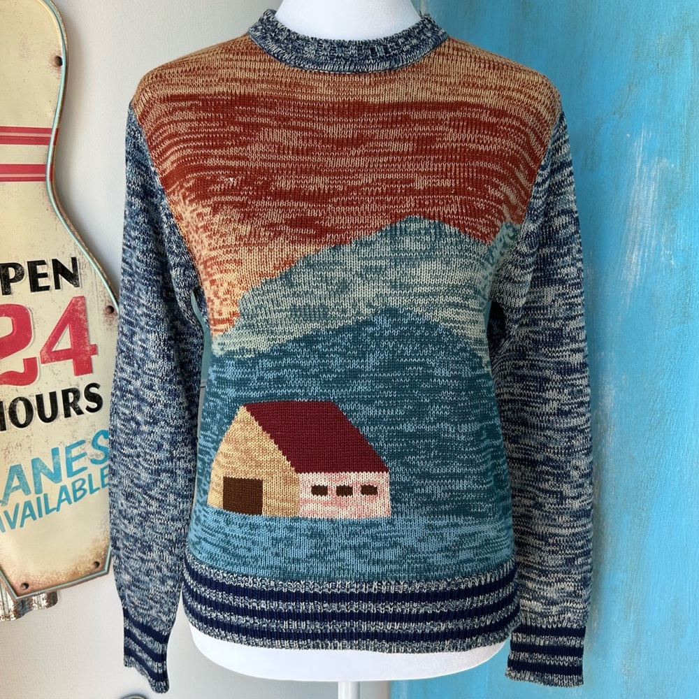 Eclectic Mountain House Novelty Print Sweater